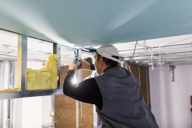 Best Commercial Insulation Services  in Palm City, FL